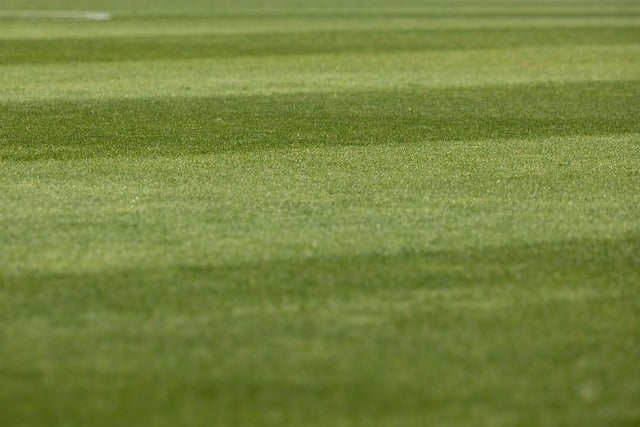 lawn-care-640x480-79424468.jpeg