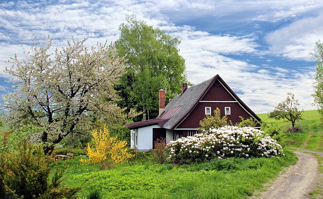 home-repair-640x480-73259113.jpeg