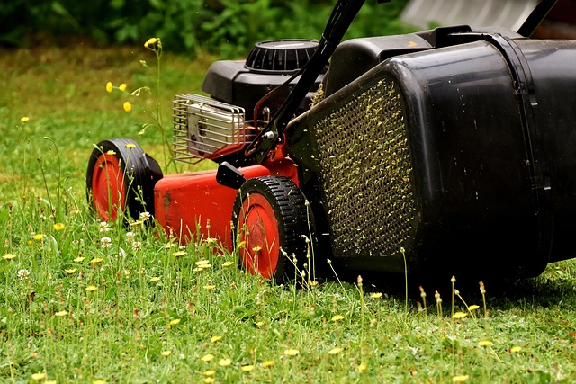 lawn-care-640x480-32442990.jpeg
