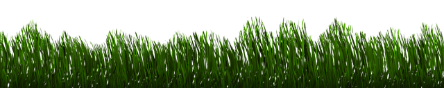 lawn-care-640x480-80578520.png