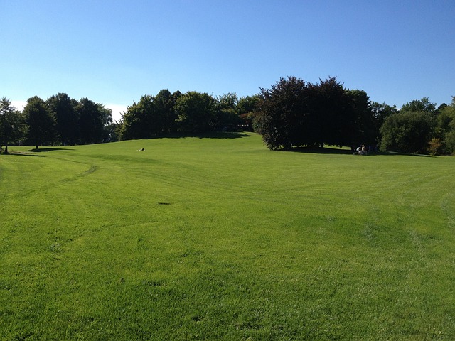 lawn-care-640x480-93301432.jpeg
