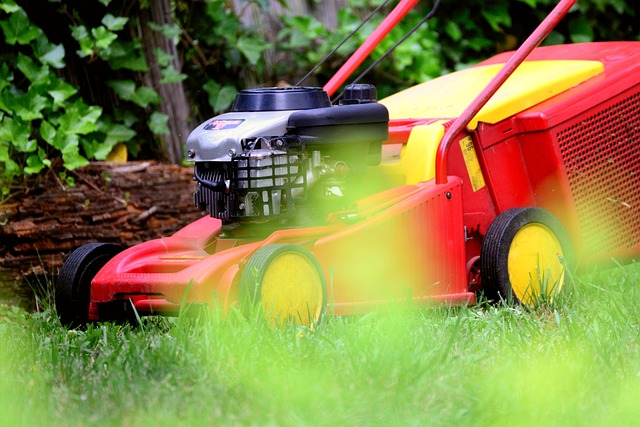 lawn-care-640x480-13770156.jpeg