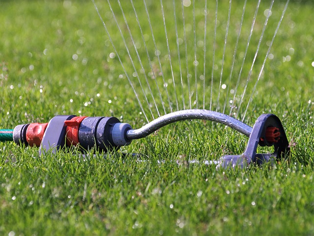 lawn-care-640x480-69065536.jpeg